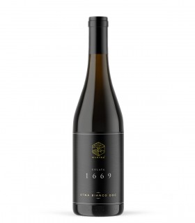 COLATA1669 Etna Bianco DOC